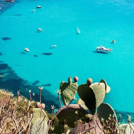 Le Terrazze Capo Vaticano