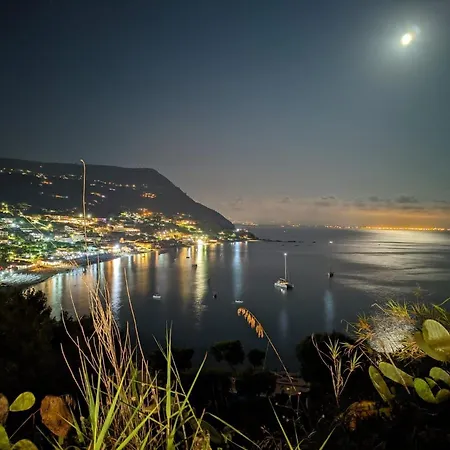 B&B Le Terrazze Capo Vaticano 산타마리아